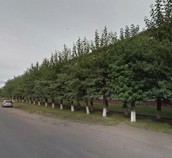 Банкомат Сбербанка России по адресу ул. 50 лет ВЛКСМ,  д. 13а