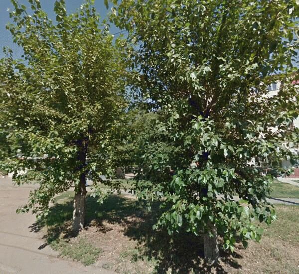 Банкомат Сбербанка России по адресу ул. Нефтезаводская,  15