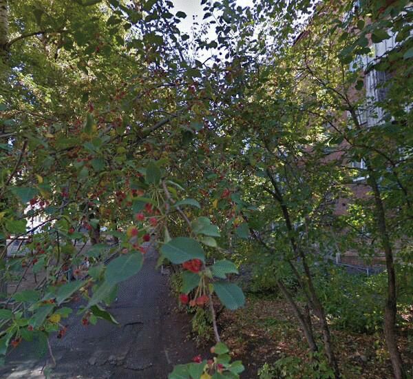 Отделение Совкомбана по адресу просп. Мира,  д. 44